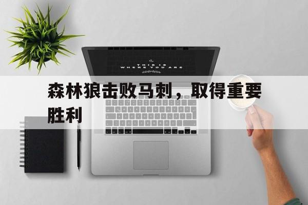 森林狼击败马刺,取得重要胜利