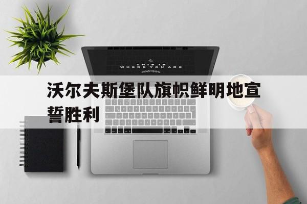 包含沃尔夫斯堡队旗帜鲜明地宣誓胜利的词条